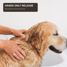 Hands working through a wet dog coat to release loose undercoat during bath time