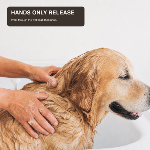 Hands working through a wet dog coat to release loose undercoat during bath time