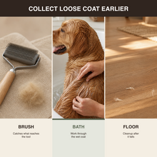 Brush, bath-stage collection, and floor cleanup compared across the shedding routine