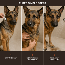 Three CoatKind bath steps: wet the coat, work through with hands, and rinse away loose coat