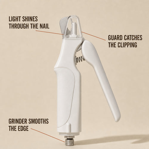 Annotated product: light shines through the nail, guard catches the clipping, grinder smooths the edge