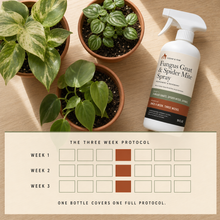 The three week protocol, one application per week, shown over three potted plants